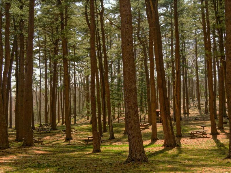 sudoku irregular boxes screenshot 2