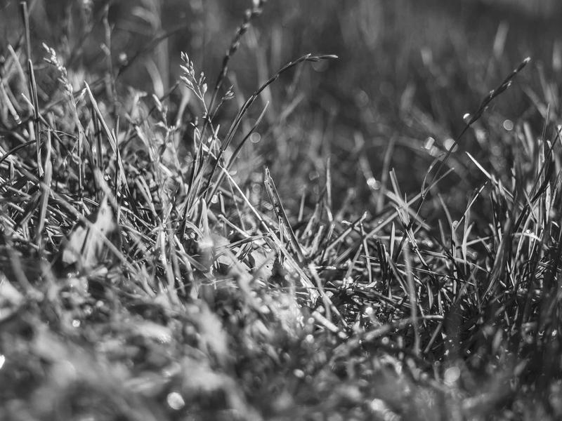 sudoku irregular boxes screenshot 6